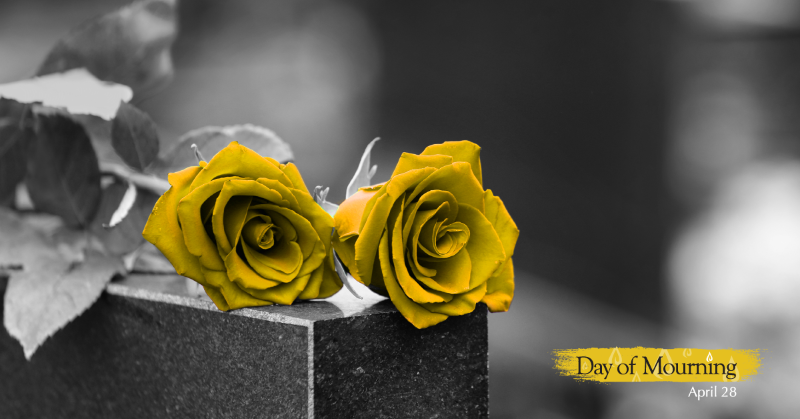 WCBAlberta's tweet photo. With heavy hearts, we remember &amp; pay our respects to the 165 #Albertans who lost their lives to workplace illness or injury in 2023. 

Take a moment today to honour their memory &amp; reflect on how much they meant to so many. #DayOfMourning #WCBAlberta.