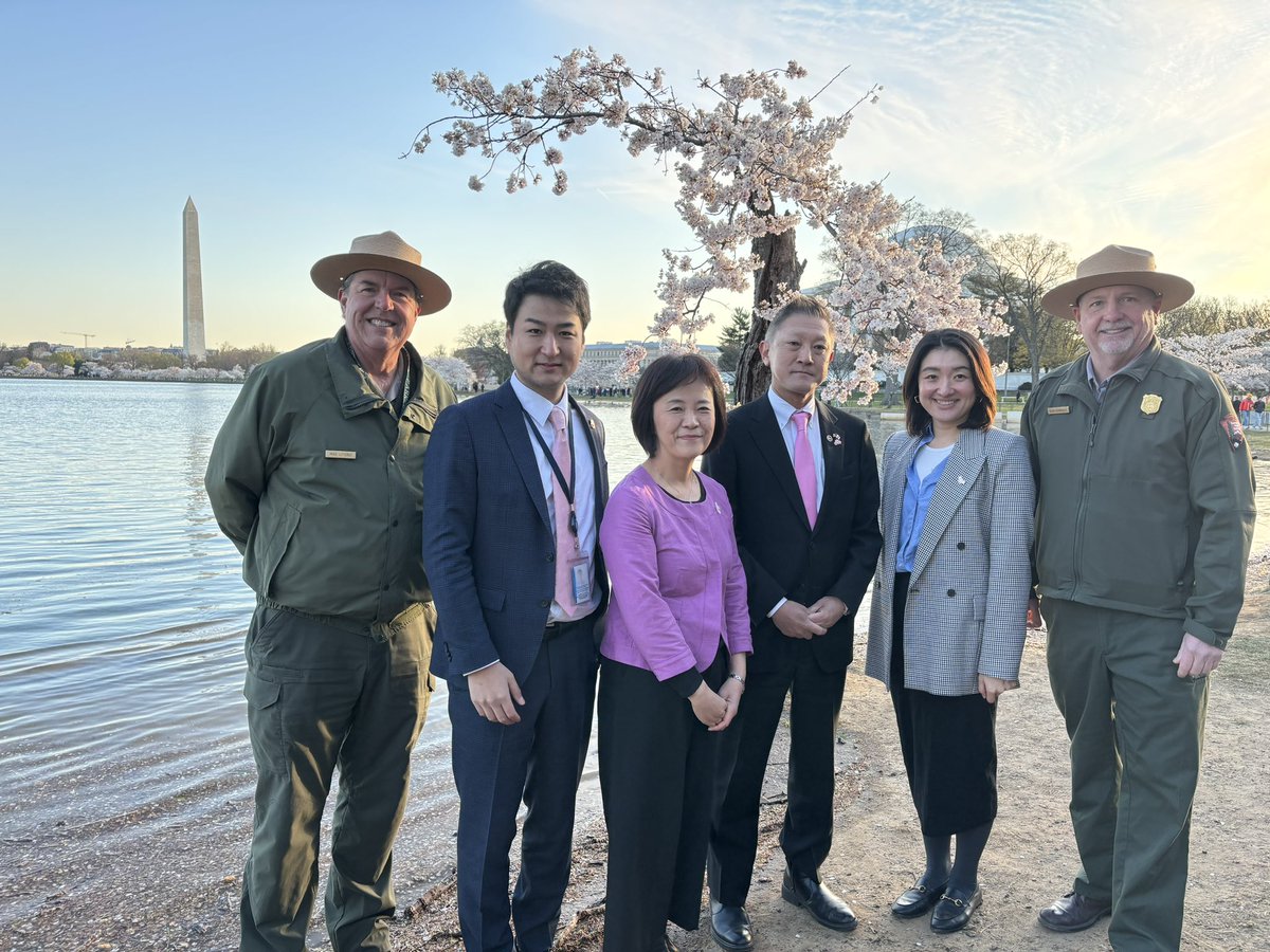 JapanEmbDC's tweet photo. Thank you, @NatlParkService, for caring for the 112-year-old gift of cherry trees 🌸. We visited #TidalBasin to honor #Stumpy, one of our most beloved symbols of 🇯🇵-🇺🇸 friendship. Your legacy will live on, nurturing future generations of friendship ❤️. https://t.co/t3hg3MhL09