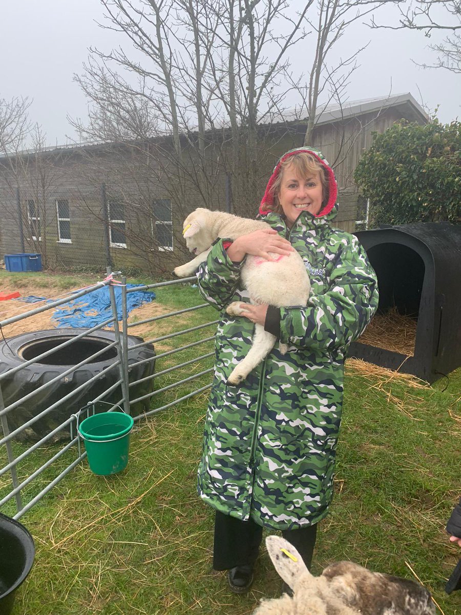 WoodingdeanPS's tweet photo. It’s time to say goodbye to Moonshine, Lavender & their mum Dotty. Everyone has loved meeting the sheep this week & learning how to care for them. South of England Agricultural Society #sheepofinstagram #sheepfarming #caringforanimals #culturalcapital https://t.co/gwdkWICM3r