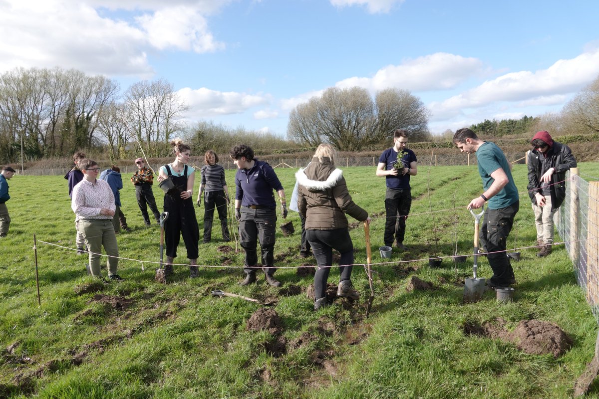 Big thank you to the wonderful @BridgendCollege countryside management students for helping out today at the farm in the Vale of Glamorgan. We managed to install a Barn Owl nest box as well as planted in-field trees to create patches of habitat in the grazed pastures. Thanks all.