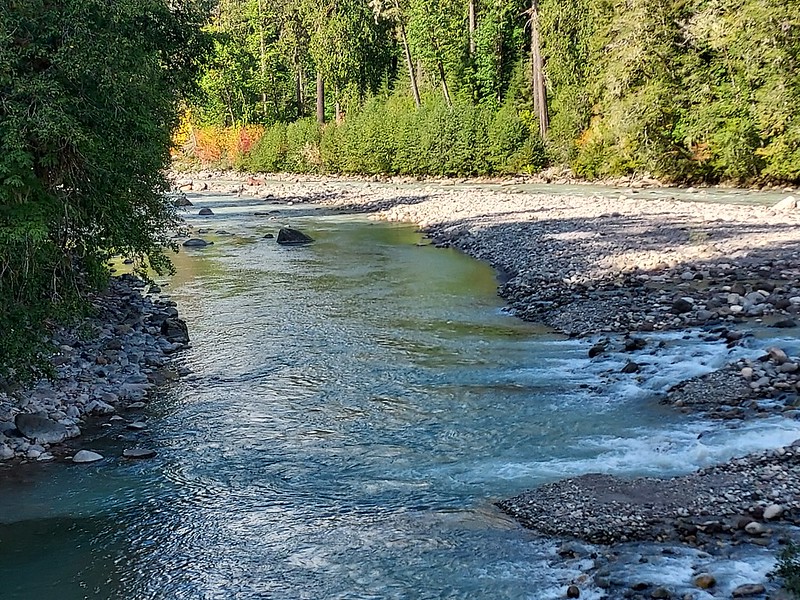 Yesterday was International Day of Forests, today is World Water Day! It was created to shed light on drinking water needs, but we also want to mention the watersheds we work hard to preserve and restore, like the Sauk River seen here, photo: Anne Vassar. #MBS #USDAForestService