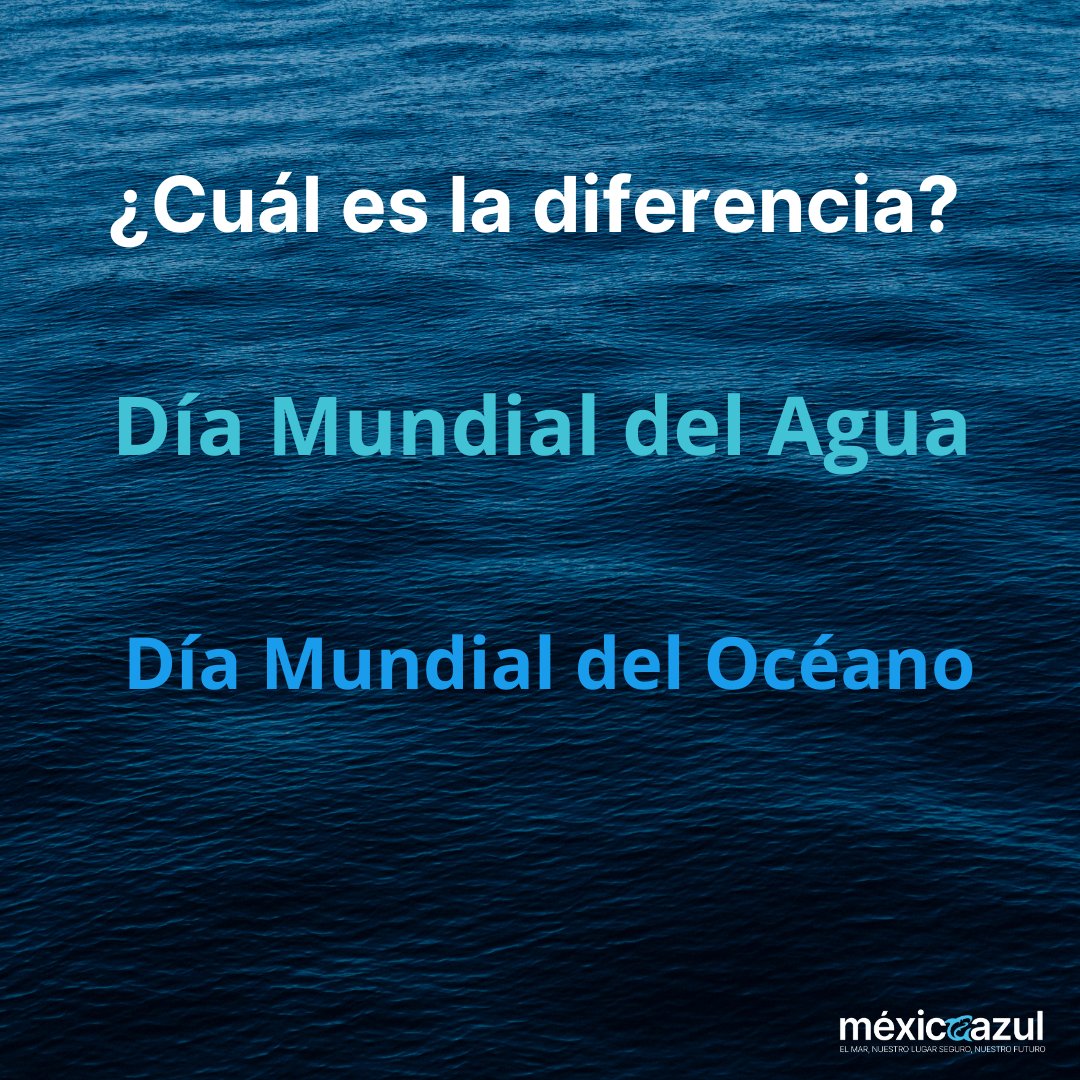 Fundación México Azul tweet media