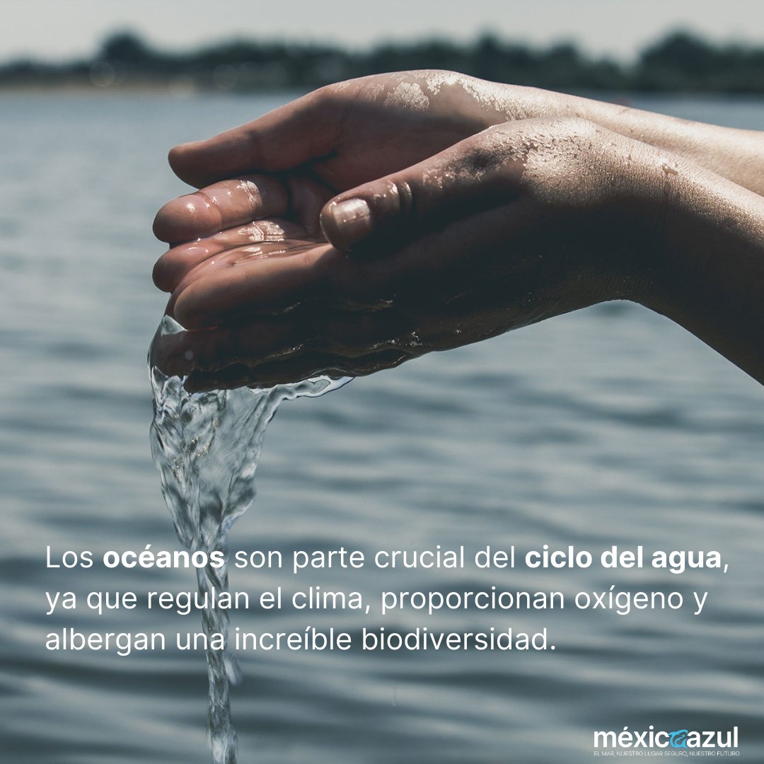 Fundación México Azul tweet media