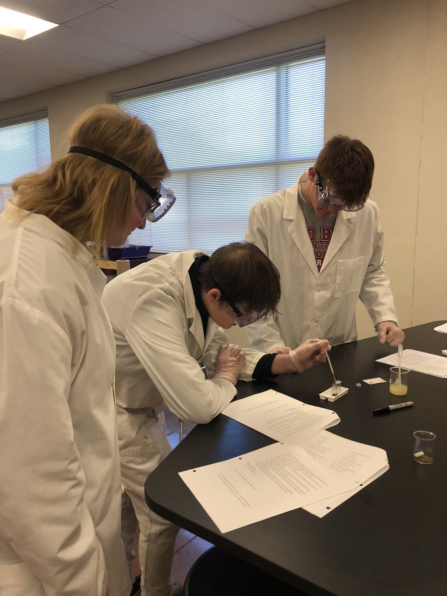 Engineering students successfully made quantum dots from lemon juice! #RedBud132 #RedBudHS