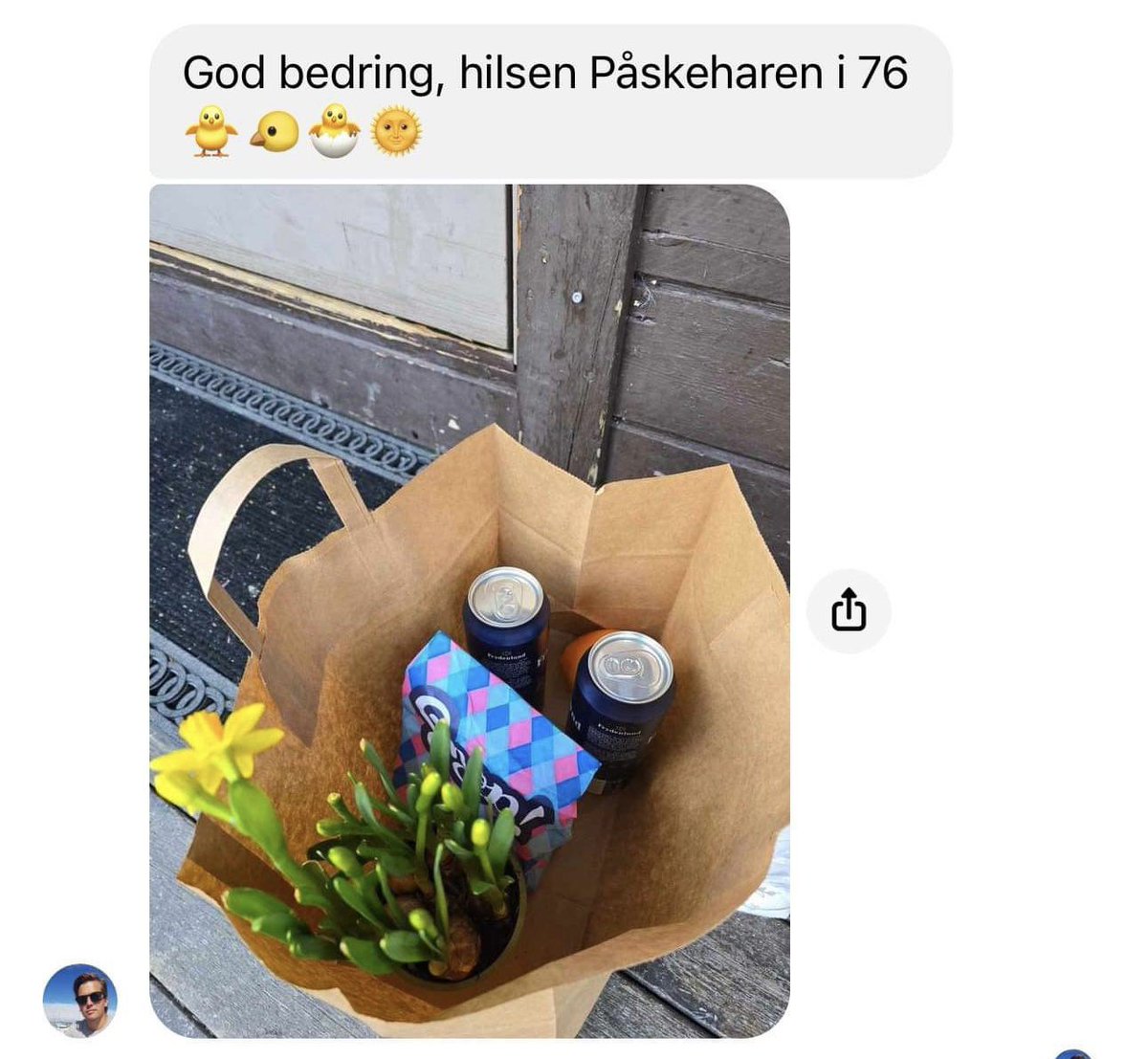 Emil Almås tweet media