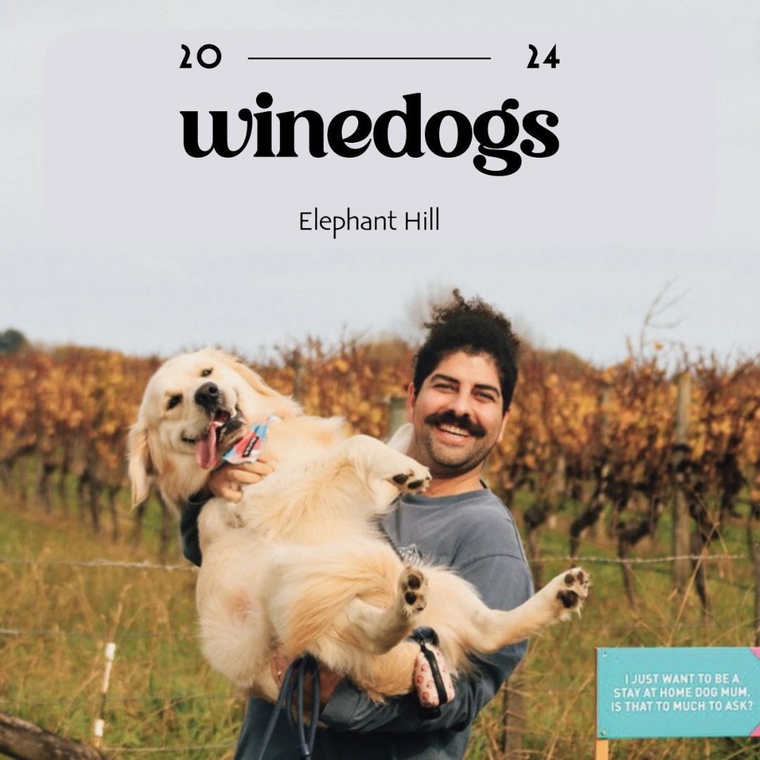 HawkesBay_Wine's tweet photo. Love Wine? Love Dogs? Then Winedogs is a must do for your calendar! It was a sellout in 2023 and this April 27th promises to deliver even more. Hosted by Elephant Hill, Winedogs is your dream day out with your pal https://t.co/HVcBUMBs6Y
#HawkesBayWine #WineDogs https://t.co/AryI4Mzxt6