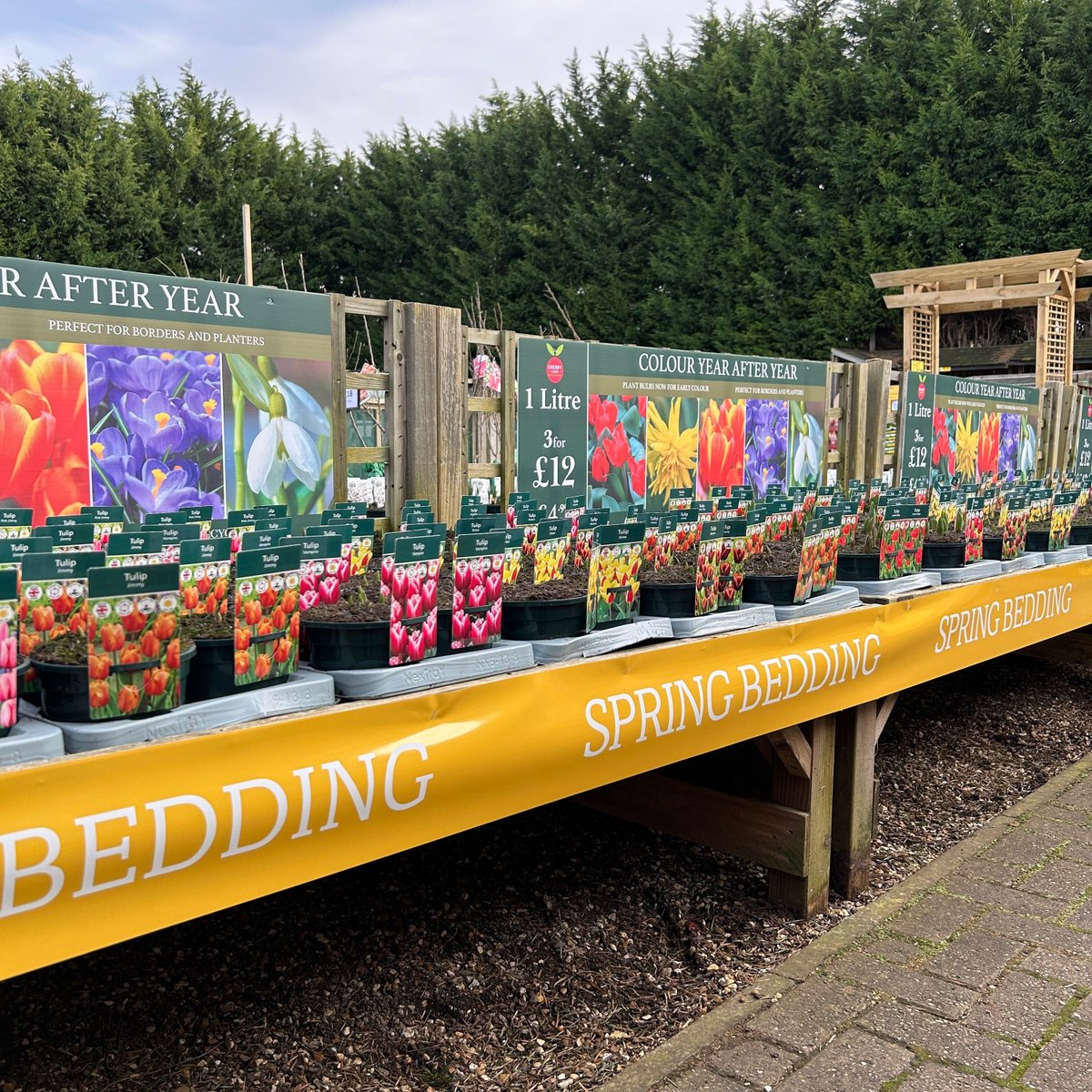 Cherry Lane Garden Centres tweet media