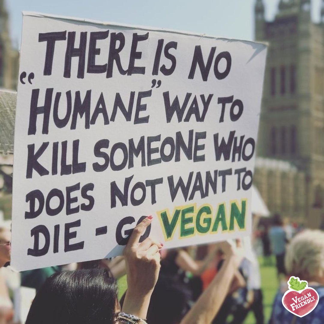 It's all about making conscious food choices. That is what saves the lives of innocent animals 💚⁠
⁠
Do you agree? Let us know in the comments below!