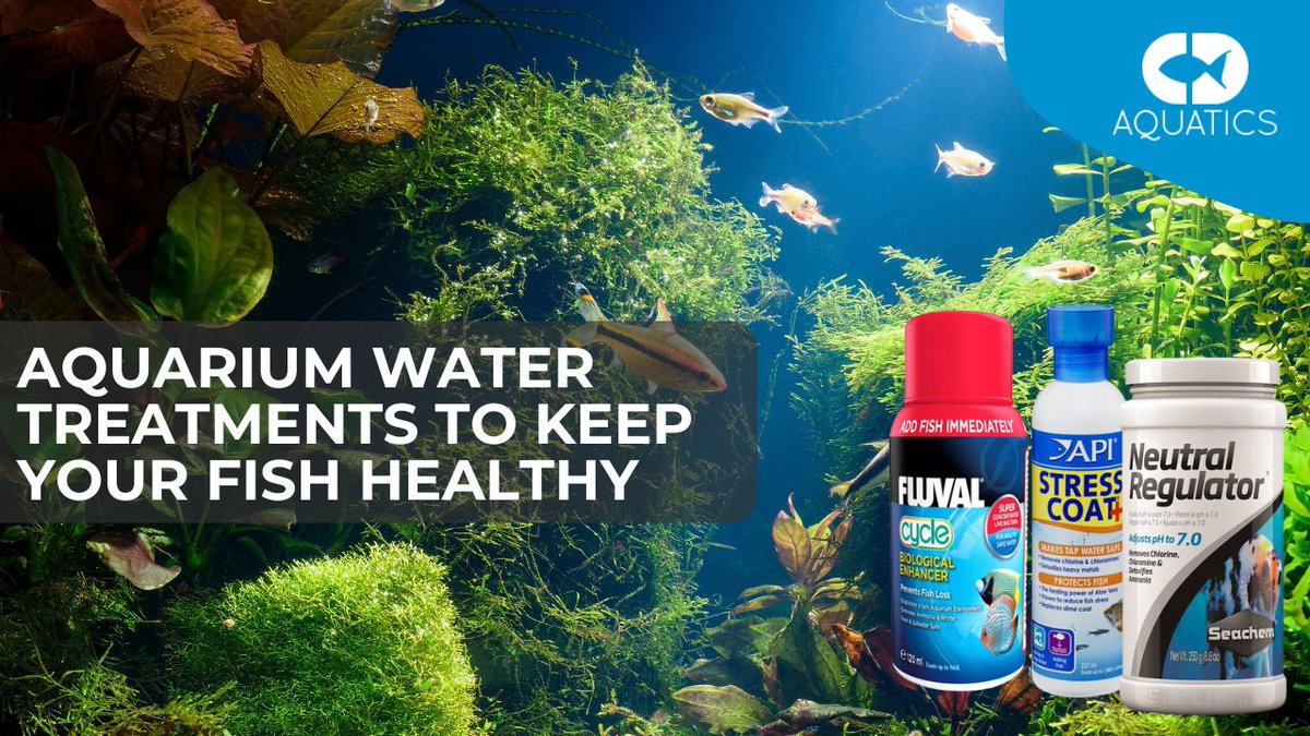C.D Aquatics (@cdaquatics) on Twitter photo AQUARIUM WATER TREATMENTS TO KEEP YOUR FISH HEALTHY π ππ§ͺ
πππ
cdaquatics.co.uk/aquarium-waterβ¦
#CDAquatics #PondFish #Fishkeeping #AquaticDreams #Koi #AquariumSetup #AquariumTreatments AQUARIUM WATER TREATMENTS TO KEEP YOUR FISH HEALTHY π ππ§ͺ
πππ
cdaquatics.co.uk/aquarium-waterβ¦
#CDAquatics #PondFish #Fishkeeping #AquaticDreams #Koi #AquariumSetup #AquariumTreatments
