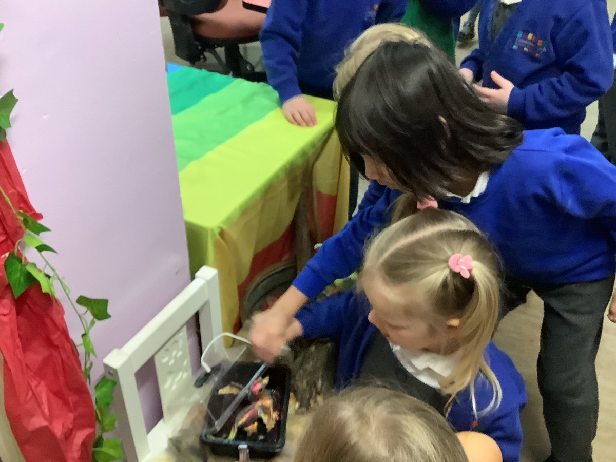 LlanFach2030's tweet photo. @LlanFachPrm Reception have had a great half term. We found a Dragon egg in our classroom. We kept in warm until it hatched and then tiny baby dragon grew into a toddler! #wonderfulwales https://t.co/6qnPXUwcEO