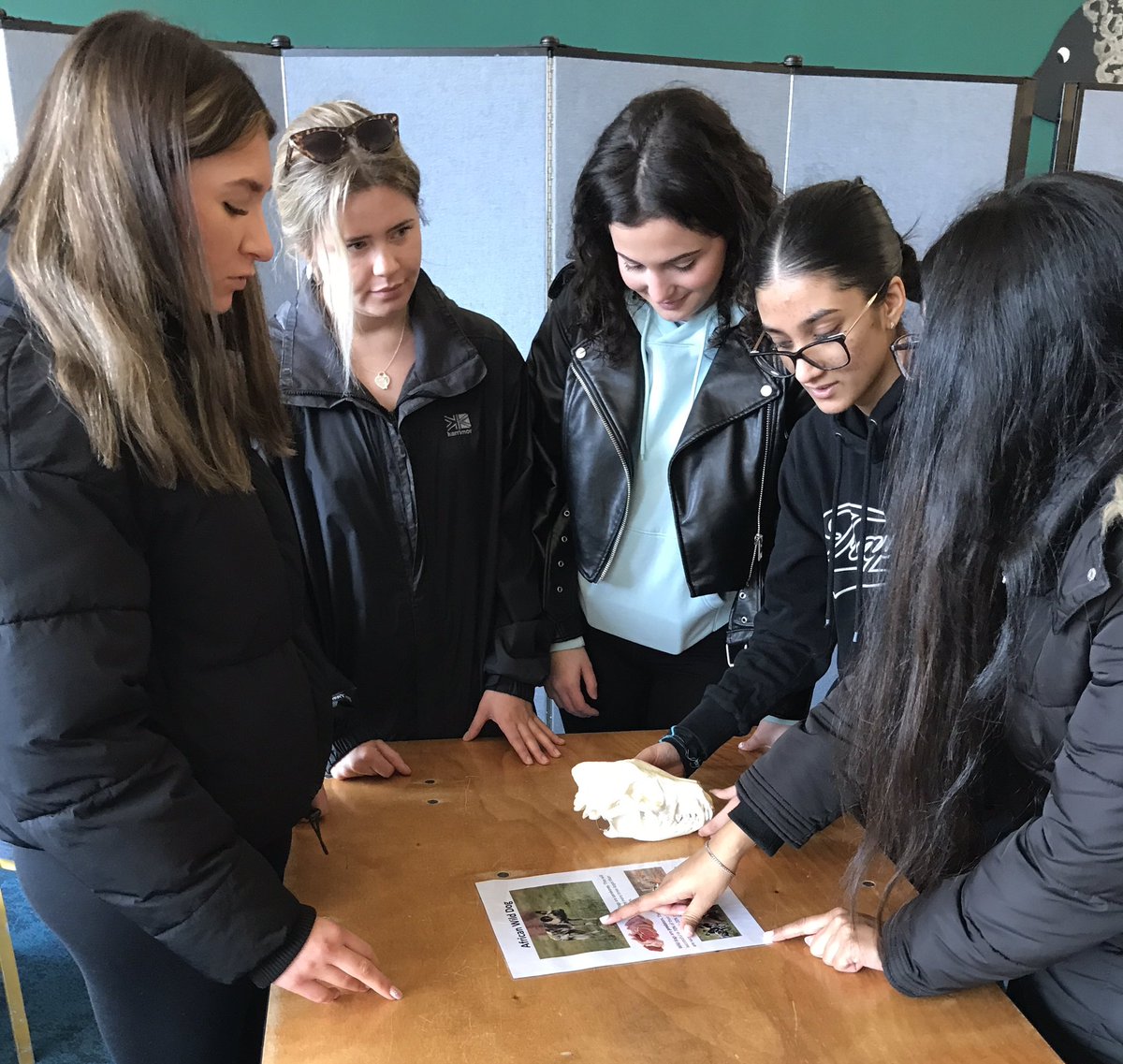 MackintoshJulia's tweet photo. A terrific day with @UH_Education BEd2 student teachers @ZSLWhipsnadeZoo learning how to maximise science learning beyond the classroom
@uniofhertsteach 
#greatprimaryscience
@UniofHerts https://t.co/yf8EIH7UGi