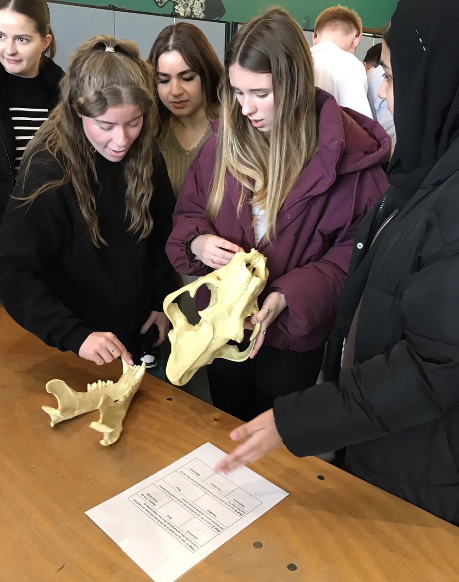 MackintoshJulia's tweet photo. A terrific day with @UH_Education BEd2 student teachers @ZSLWhipsnadeZoo learning how to maximise science learning beyond the classroom
@uniofhertsteach 
#greatprimaryscience
@UniofHerts https://t.co/yf8EIH7UGi