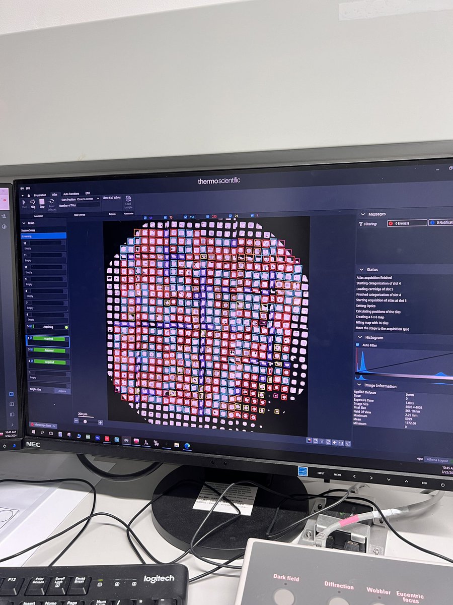 777jyo1's tweet photo. Busy but happy🔬☺️ https://t.co/GIEuYrQSG9