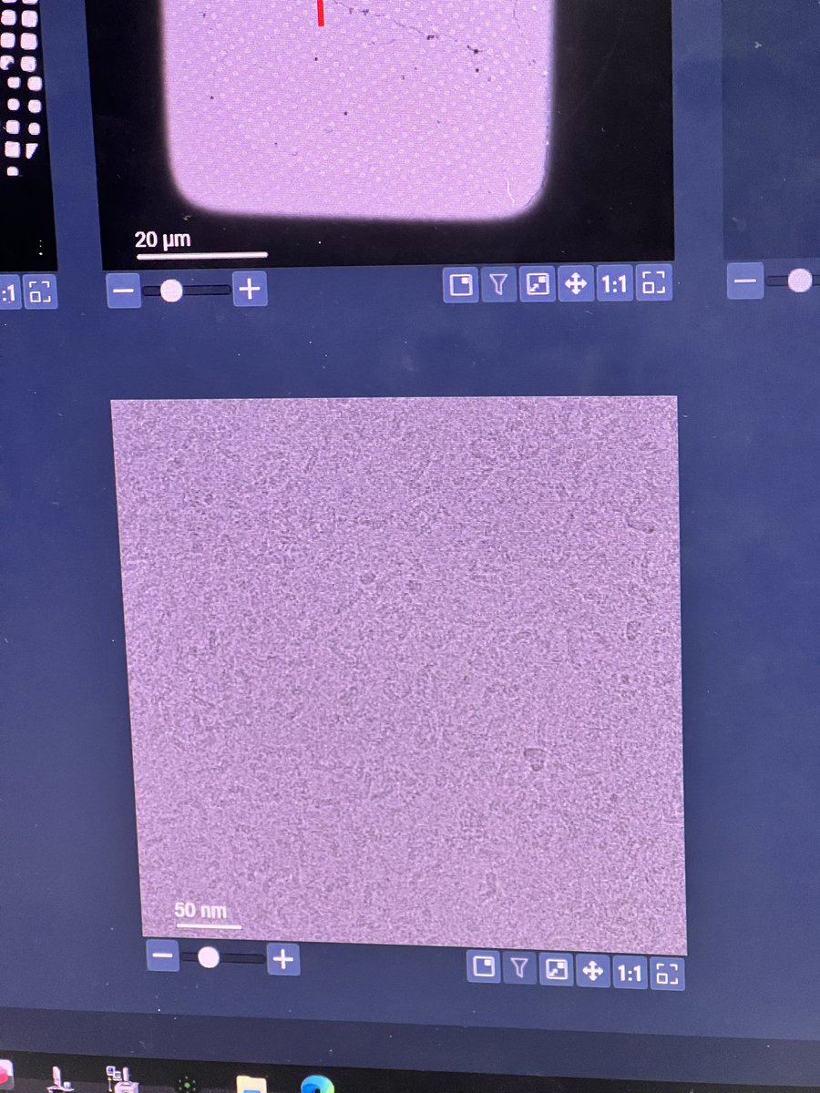 777jyo1's tweet photo. Busy but happy🔬☺️ https://t.co/GIEuYrQSG9
