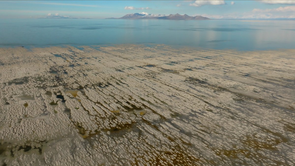 USUWaterLab's tweet photo. Happy World Water Day! Like much of the world, our eyes are on drought and water demand, and particularly what that means for the Great Salt Lake. Learn more about our collaborations on this issue here: https://t.co/oYc2dWPlY9 https://t.co/VjCDDcCxZI