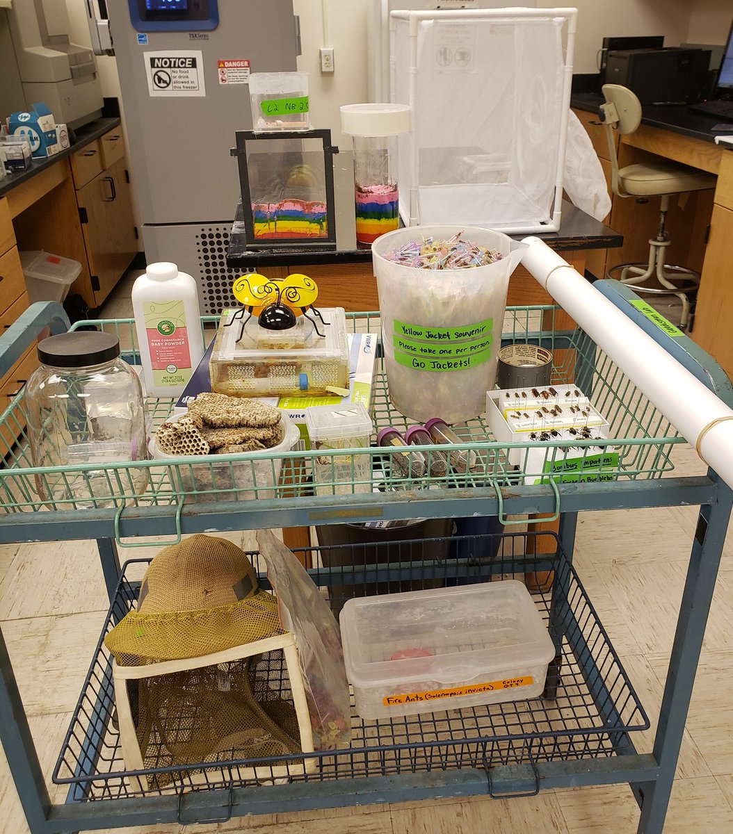 It's that time of year again! The Goodisman lab is all prepared for @ATLSciFest Exploration Expo tomorrow (Sat 3/23) 10a-5p in Piedmont park.

Stop by booth 1509 in the Invent Section to learn about social insects! Remember, it's FREE #ATLSciFest