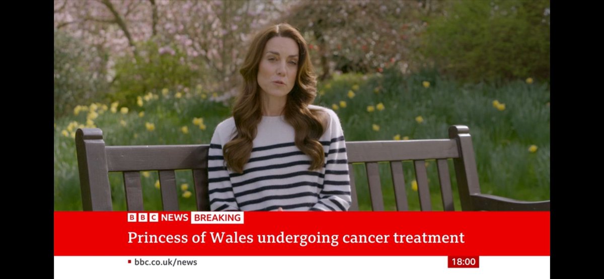 RoseEclarinal tweet media