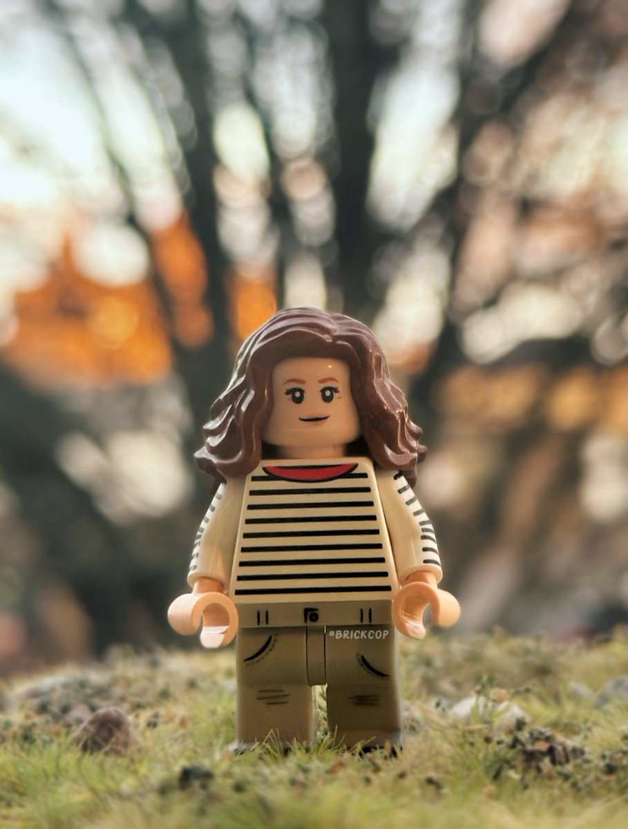Brick_Cop's tweet photo. Wishing her Royal Highness The Princess of Wales a speedy recovery from her chemotherapy treatment.

And that the Princess and her family are given time and space to be together and not in the unnecessary glare of the media pedalling rumours and untruths at a difficult time. ❤️‍🩹🇬🇧 https://t.co/WxoJ8WCJ2W