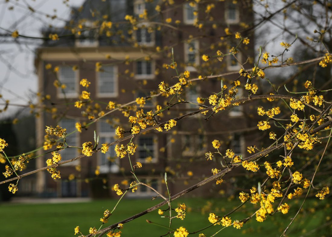 &amp; KIJKJE BINNEN - Met dank aan #ReindeJong een mooie en sfeervolle fotoreportage van <a href="/HuisVerwolde/">Verwolde</a> <a href="/glk/">GLK&</a> kerkenkastelen.weebly.com/huis-verwolde.…