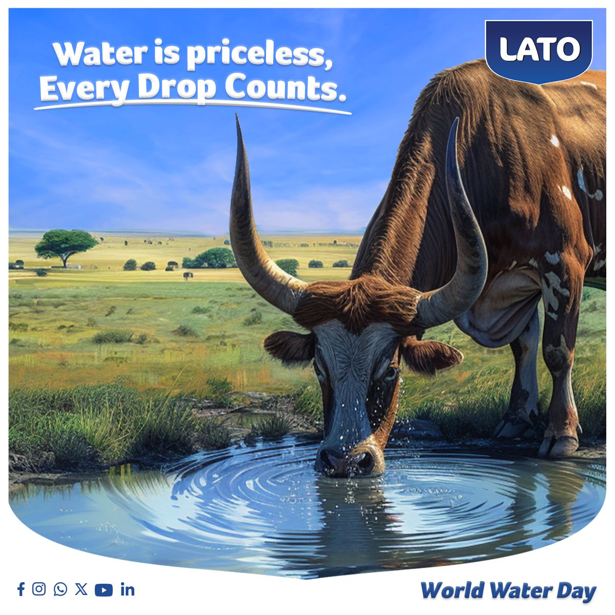 On #WorldWaterDay, let's celebrate the purity and goodness of water! Let's join hands in conserving water, using it wisely, and protecting this precious resource for future generations. #WorldWaterDay #LatoMilk #WaterDay