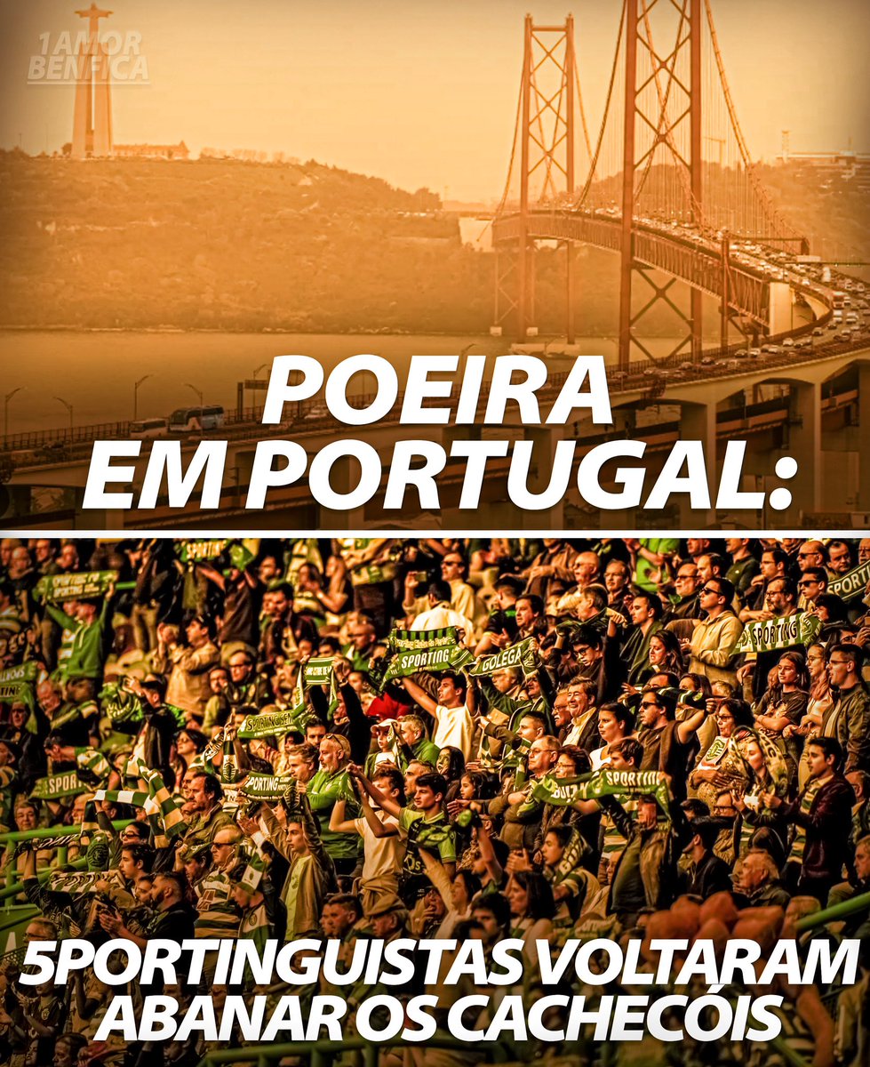 Já pensam que são Campeões ! 😂🦎