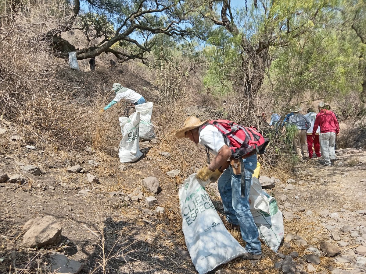 sierraguadalupe's tweet photo. Jornada de limpieza en la Barranca de #Almarcigo de #SierraDeGuadalupe. Debemos ir más allá de levantar residuos que otros tiran. Hay que fomentar nuevas políticas públicas, contar con un sistema de recolección justo, focalizar quienes vierten, con leyes y sanciones #CONSIGUE. https://t.co/mI5UNErq8A