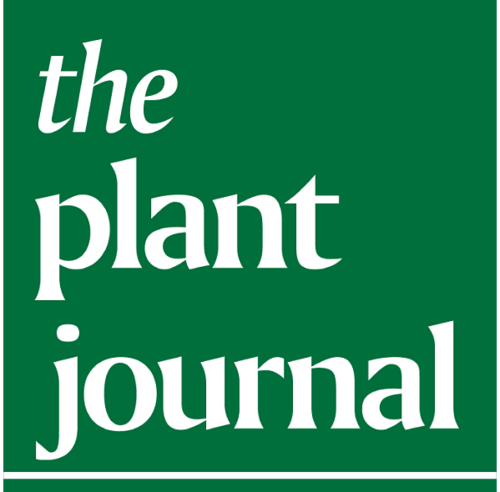 @I_Rubio_somoza is organizing the 'Cell-type Specific Responses for Plant Resilience to Stress' at #ICAR2024SanDiego and invites abstract submissions by 15 April. See session #5 at icar2024.weebly.com/mini-symposiaw…
We thank @ThePlantJournal for their generous sponsorship!