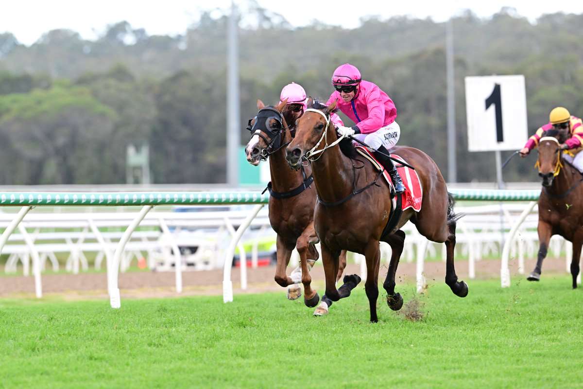 🎙️ 'LIVINGSTONES has had a 55-day freshen off a good run here last start over 2000m. Good jock on top and hopefully fresh means a little more sprint in the legs.' Gibbo has your best bets for today's racing, click the link and check them out 👉 bit.ly/3ghsCjl