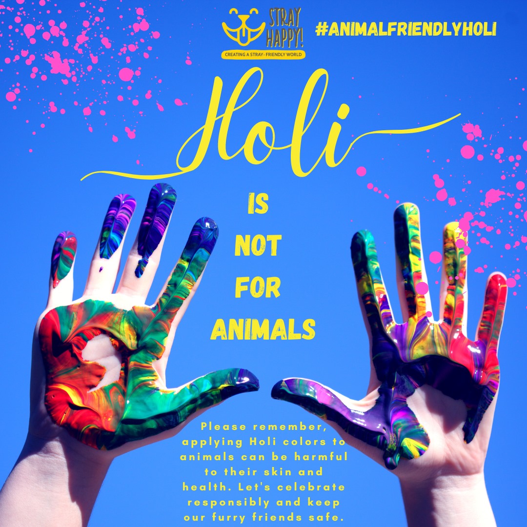 Colorful celebrations that are kind to all creatures 🌈🐾 

#AnimalFriendlyHoli #safeholi #holi #animalsafety #animalwelness #animalwelfare #animalwellbeing #treatthemright #compassion #kindness #ngo #animallovers