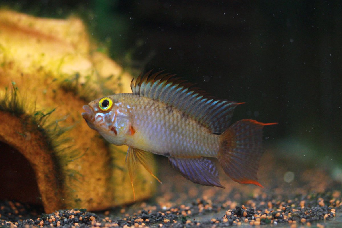 いい男になった
カッコよき😍