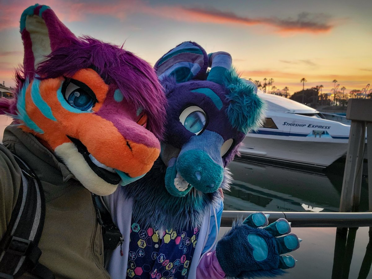 Really nice time setting off to Catalina for a dive trip back in February! ⛴️

w/ <a href="/thatnerfdragon/">CaolDubh</a> 
#FursuitFriday