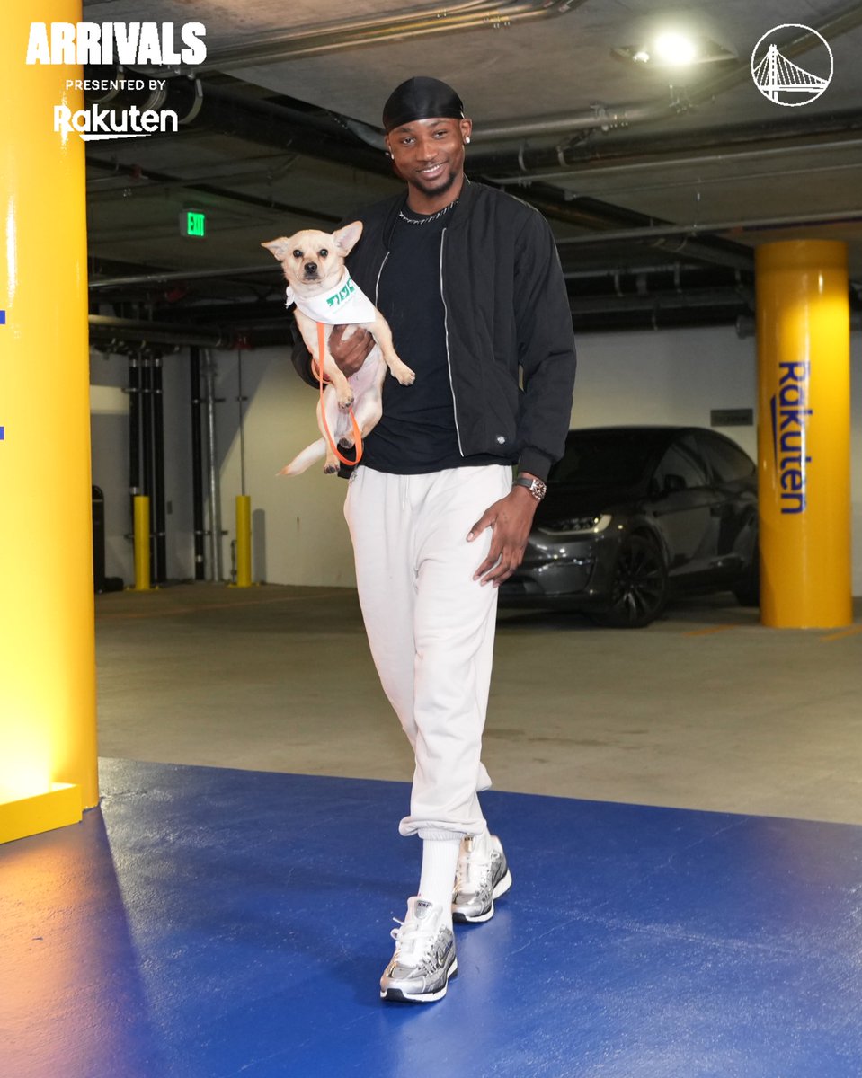 warriors's tweet photo. Fur-tastic arrivals

@Rakuten || #DubNation https://t.co/LwN22ulrLi