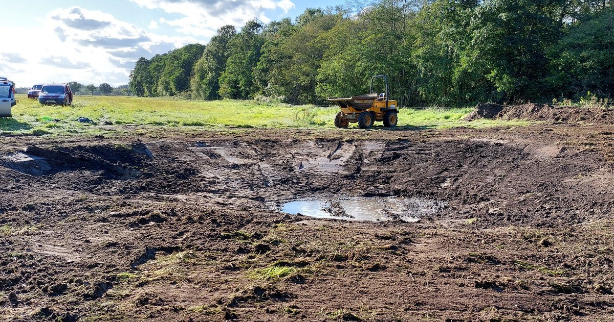 norfolkponds's tweet photo. The resurrection of a #ghostpingo #pond. One of 10 in-filled ancient pingos that we have restored on @NorfolkWT land close to Thompson Common. We have recorded 57 wetland plants over 2 years. That is a gain of 57 plant species!!! Boom. @hburningham @tim_holt_wilson https://t.co/D9eujg95GL