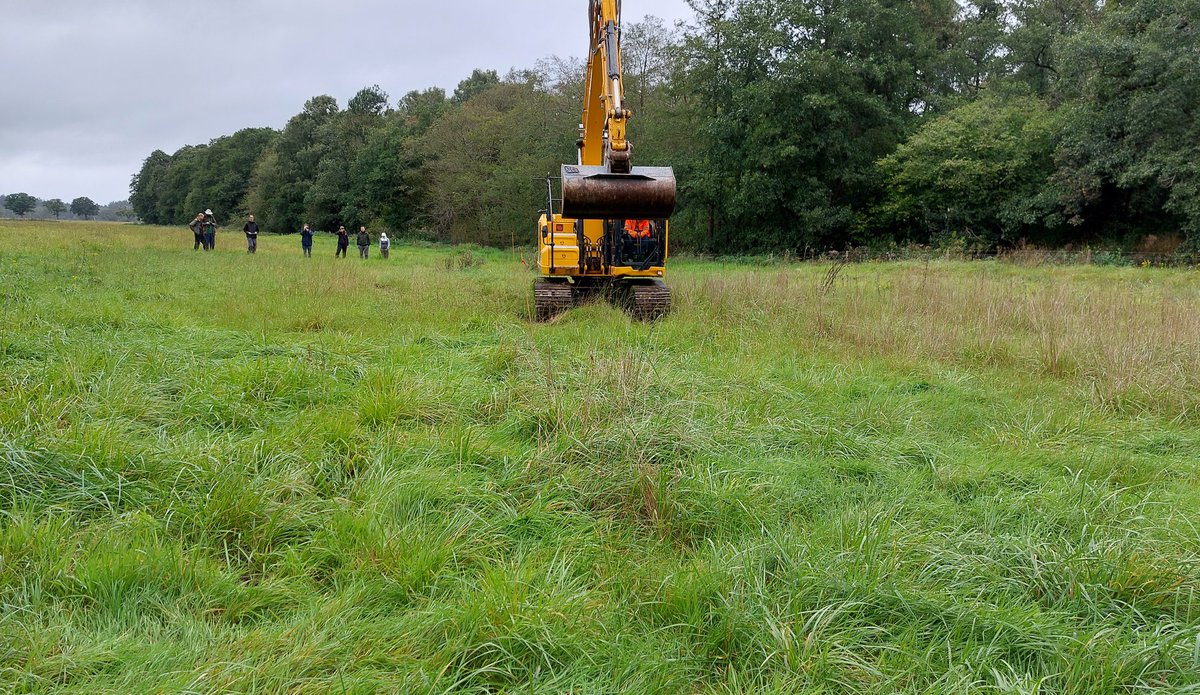 norfolkponds's tweet photo. The resurrection of a #ghostpingo #pond. One of 10 in-filled ancient pingos that we have restored on @NorfolkWT land close to Thompson Common. We have recorded 57 wetland plants over 2 years. That is a gain of 57 plant species!!! Boom. @hburningham @tim_holt_wilson https://t.co/D9eujg95GL