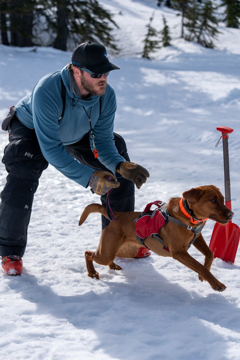 It's been a busy week at Stevens Pass, and there's more to look forward to this weekend. Learn more from Vince in our latest post: blog.stevenspass.com/stevens-pass-u…