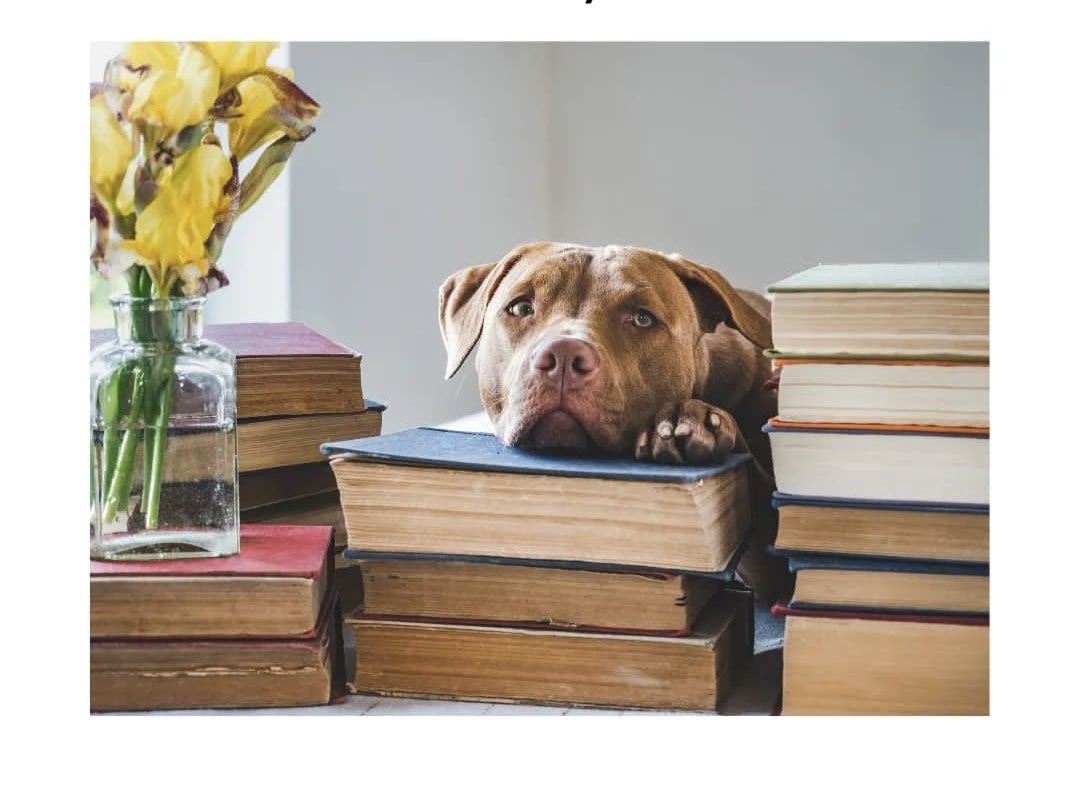 AathifAzeez's tweet photo. When someone tells me I have to leave my books… https://t.co/XqSb9wxcuo