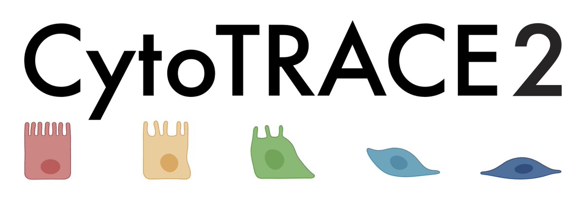 How to trace developmental potential on an absolute scale from single cell expression data?

We are thrilled to announce that CytoTRACE 2 is out on bioRxiv! @AaronNewmanLab

github.com/digitalcytomet…
doi.org/10.1101/2024.0…