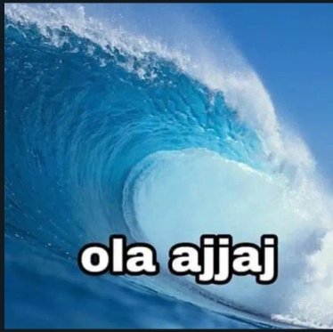 Reds Tudent tweet media