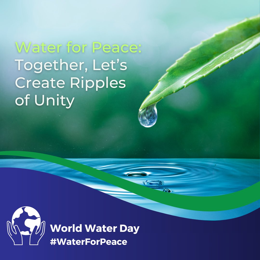 On #WorldWaterDay, let's embrace water for peace. At Ecofish, we're dedicated to leveraging its unity to foster cooperation &amp; understanding. From ecosystem protection to dialogue facilitation, every drop counts for a harmonious world. Let's create ripples of unity. #WaterForPeace