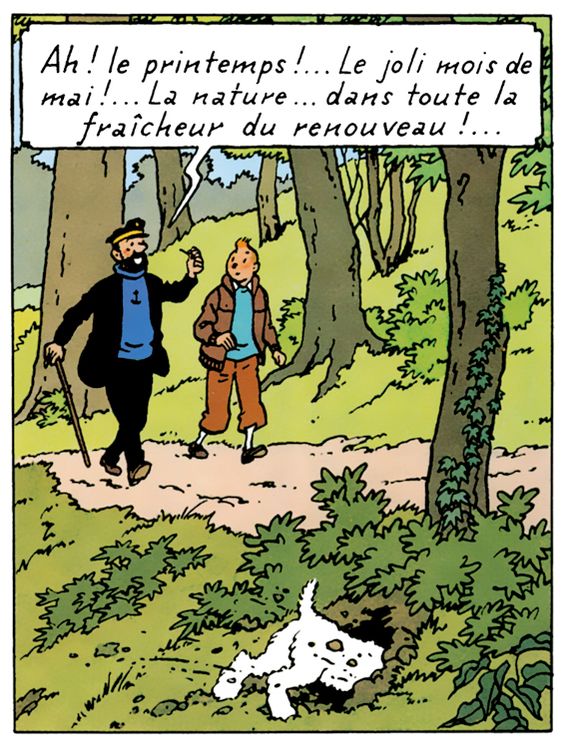 Happy spring, Tintin amis! Joyeux printemps! 🌻☀️🐝🐣🌷🌱

#tintinfan #tintinfans #tintin #sausalitoferry #comicbooks #raretoys #hergé #sausalitoca #sausalito #california #springtime #printemps #spring #hellospring #raretintin #captainhaddock #tintinetmilou #shopsmall