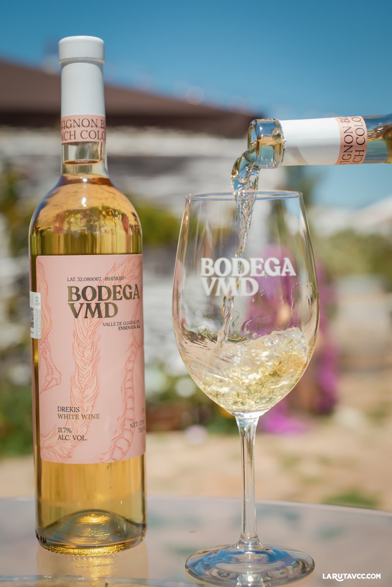 LaRuta_vcc's tweet photo. En tu siguiente salida visita Cava Dragón para probar todos sus vinos y platillos y descubrir tu combinación favorita.
🔗 https://t.co/xP5shUUazK
📞 646 179 7505
⏰ Jueves a Domingo de 12 a 7
#larutavcc #vinocomidacerveza #visitbaja #welcometoensenada #welcometobajacalifornia https://t.co/jA1YHhEWbW
