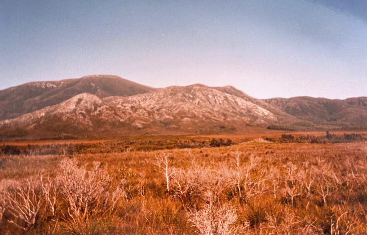 One on each end of the world. 1) North Knife Lake, Manitoba - 200 km to the nearest road. Amazing fishing. 2) Melaleuca - southern Tasmania - where I got to see the endemic and endangered orange-bellied parrot.