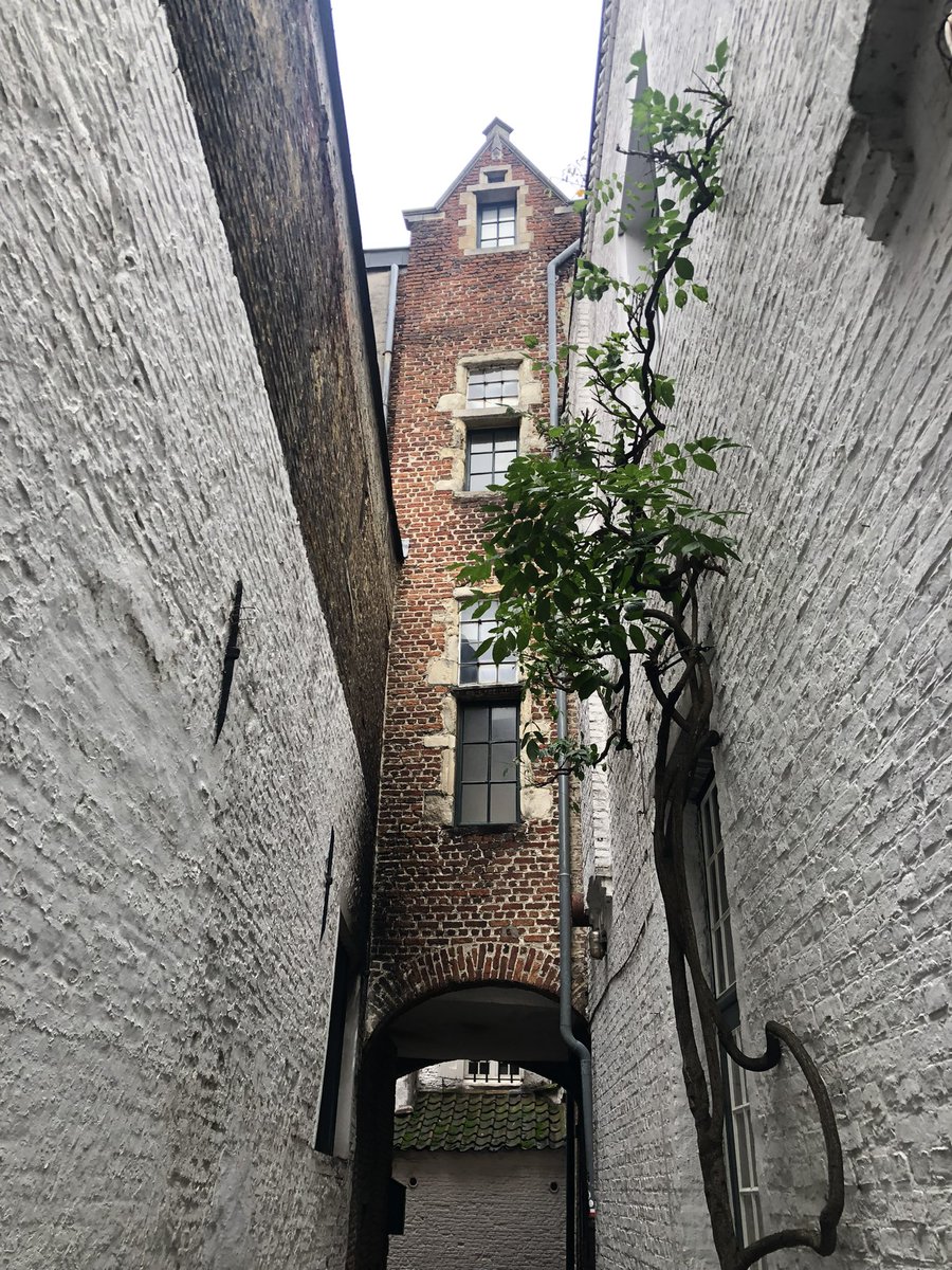 Engage User Group tweet media