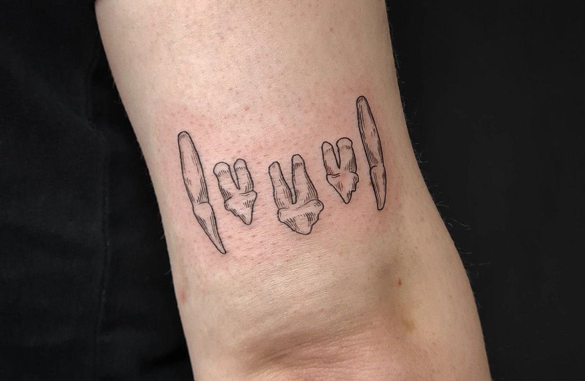 I absolutely love when clients ask me to customise one of my flash designs with an anatomy of their own significance. These domestic cat teeth were personalised with a chipped tooth to represent Chloe's cat's teeth 💙