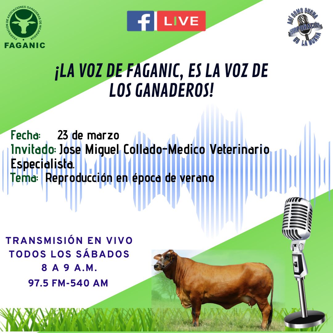 Recuerda sintonizar, tu programa favorito mañana sábado a las 8:00 am.