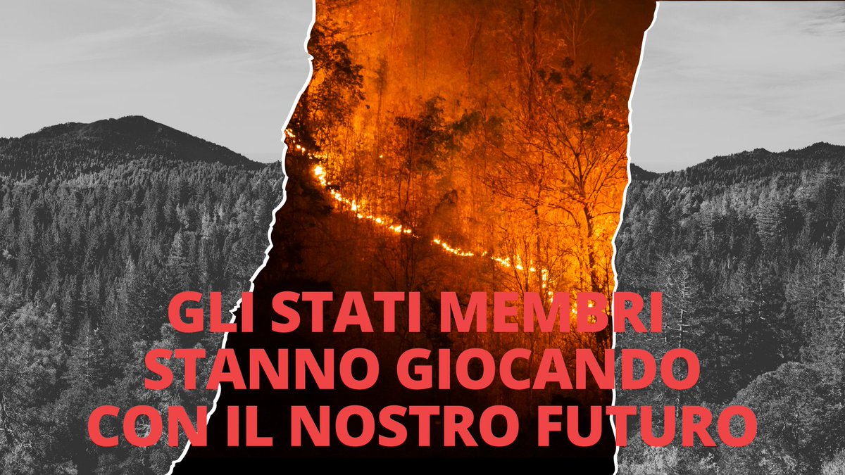 Sabotare di nuovo la #NatureRestorationLaw va contro gli impegni ambientali dell'Ue, la scienza, le preoccupazioni dei cittadini, il sostegno del @Europarl_IT. In gioco è il futuro sostenibile. 👉La reazione della coalizione #RestoreNature al voto di oggi: bit.ly/497r0Ef