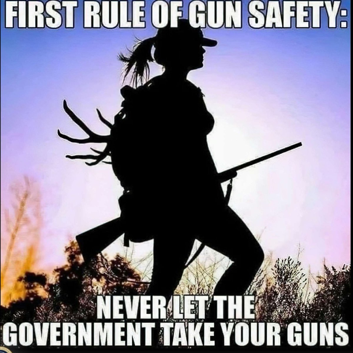 ShallNotBeInfringed !
@Tex_2A
@45tf5
@RDog861
@kjeffpalmer
@flavet3b
@FredP72 
@SrvG_d
@cmir_r
@Ray_P45
@LR2552
@TwinsBus
@brixwe
@skipmav
@Chris_Value
@fsturgeonfl
@Rebel4Kics
@HBergsjoe
@bdonesem 
@VariantLiz
@Dusty_Rhodes57
@WingTrending
@ZadeSmith4
@InjunJoe2726
@Jphamilton1…