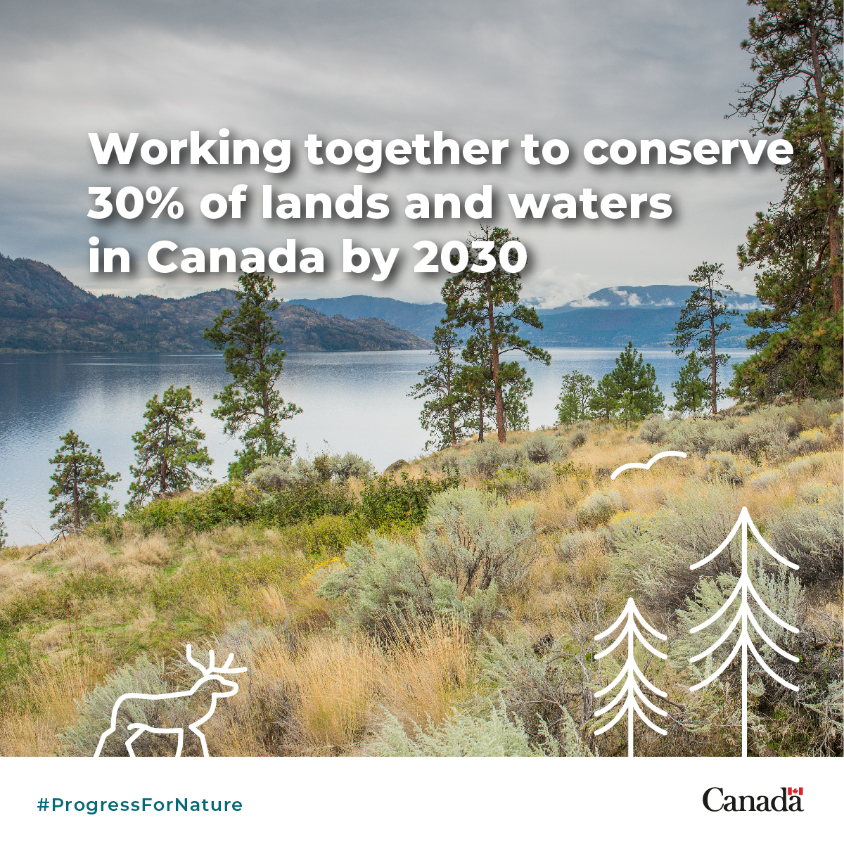 environmentca's tweet photo. 1/2 #ProgressForNature looks like… working with municipal and regional governments to recognize local greenspaces for their #biodiversity conservation value. https://t.co/5wjbrU31Qn