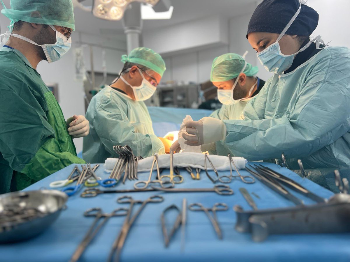 Yeni bir hafta, hastalarımız için yeni umutlarla başladı. Böbrek nakli hastanemizde gerçekleştirdiğimiz biri *çapraz* olmak üzere toplam *7 böbrek nakli* ile hastalarımıza diyalizsiz ve umut dolu bir gelecek sunmanın sevincini yaşadık. 👏👏👏

#organnakli #böbreknakli #nakil