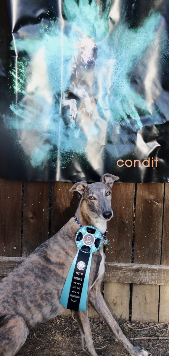 Did you know Condit sponsors a professional athlete? 🥇 Congratulations to fast Freddy on earning his DCAT title! He ran his personal best time of 6.53 seconds, which equates to 31.32 miles per hour ⏱️🏁